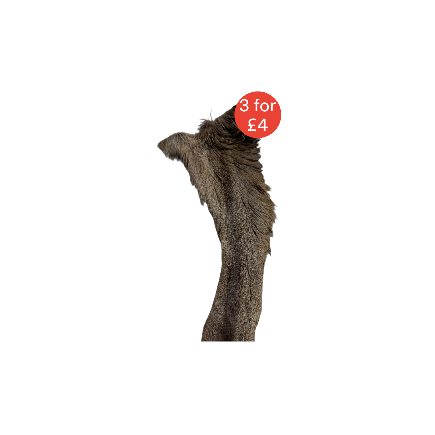 Hairy Red Deer Skin