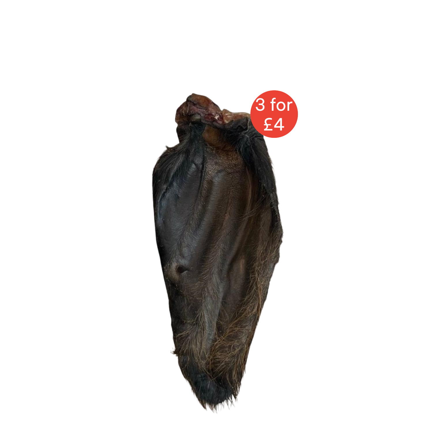 Hairy Buffalo Ear