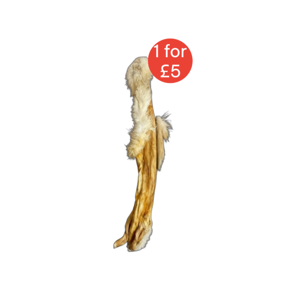 XL Hairy Rabbit Skin