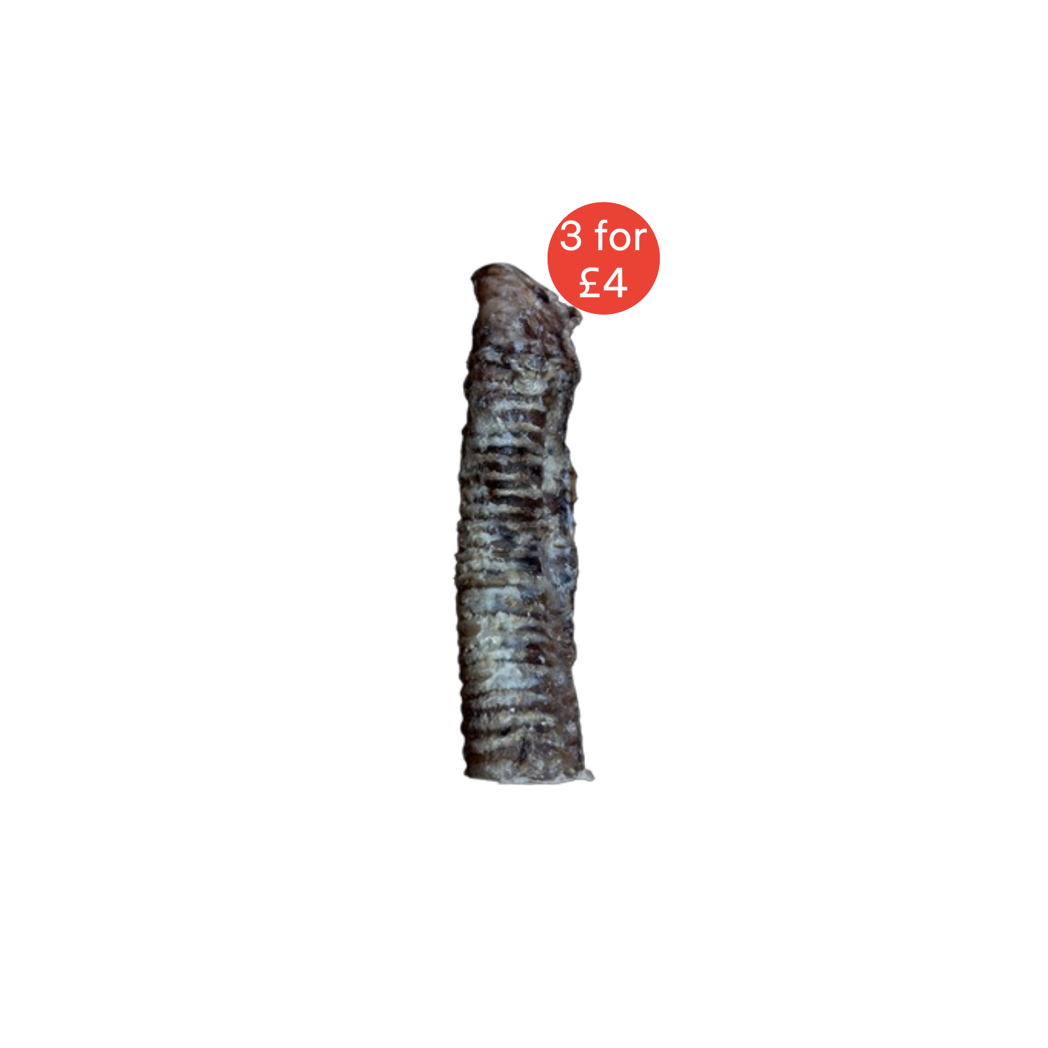 bullytube3for4.png