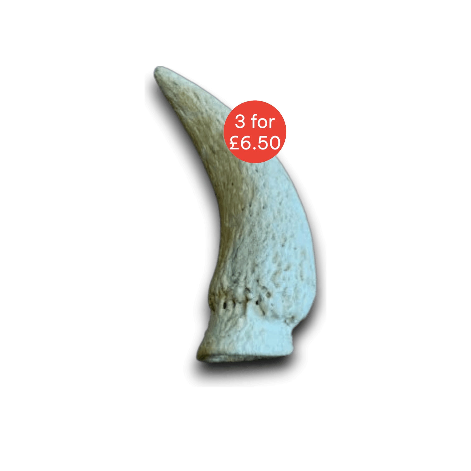 Cow Horn Marrow