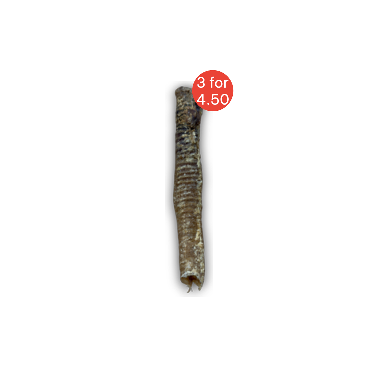 Lamb Tube
