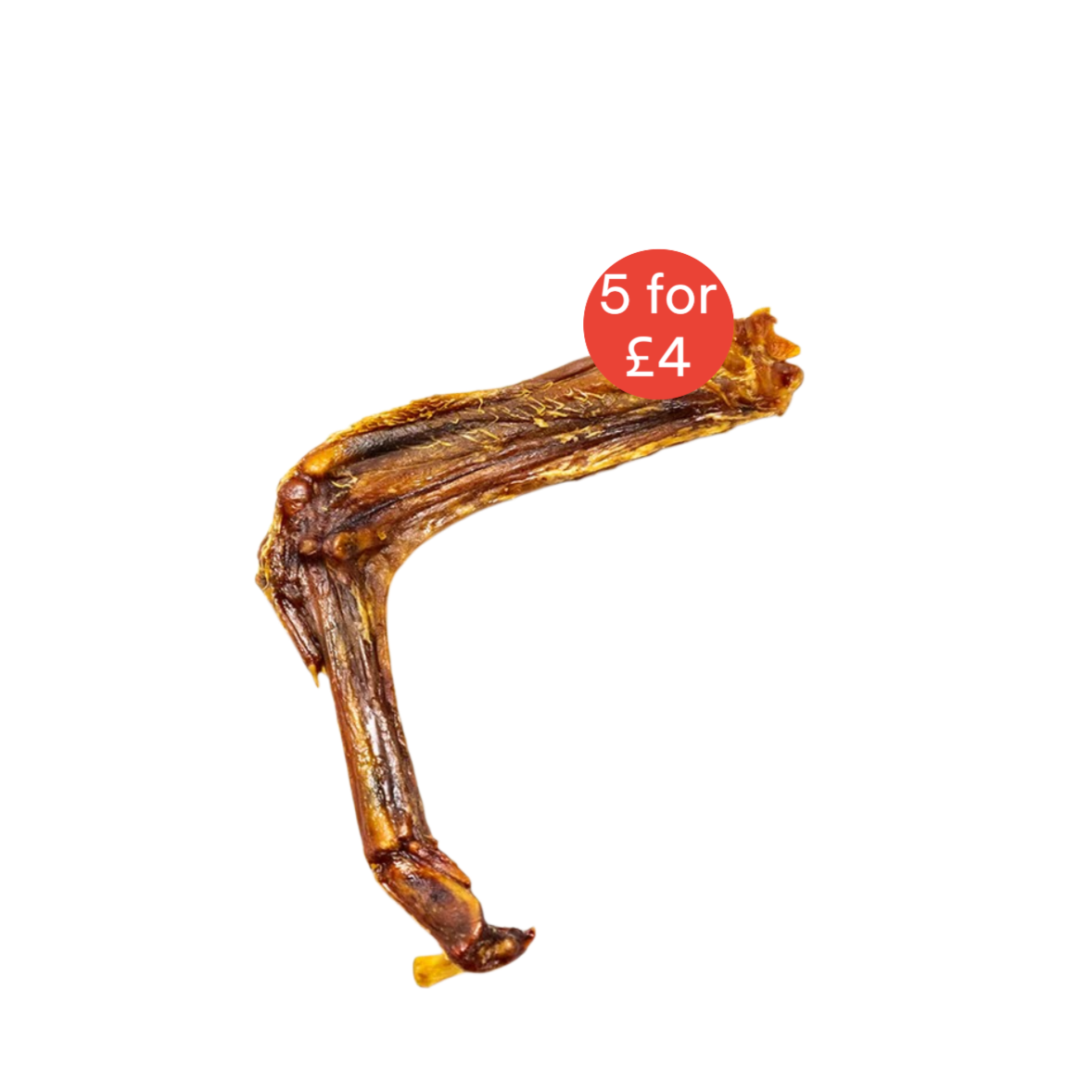 duckwing5for4.png