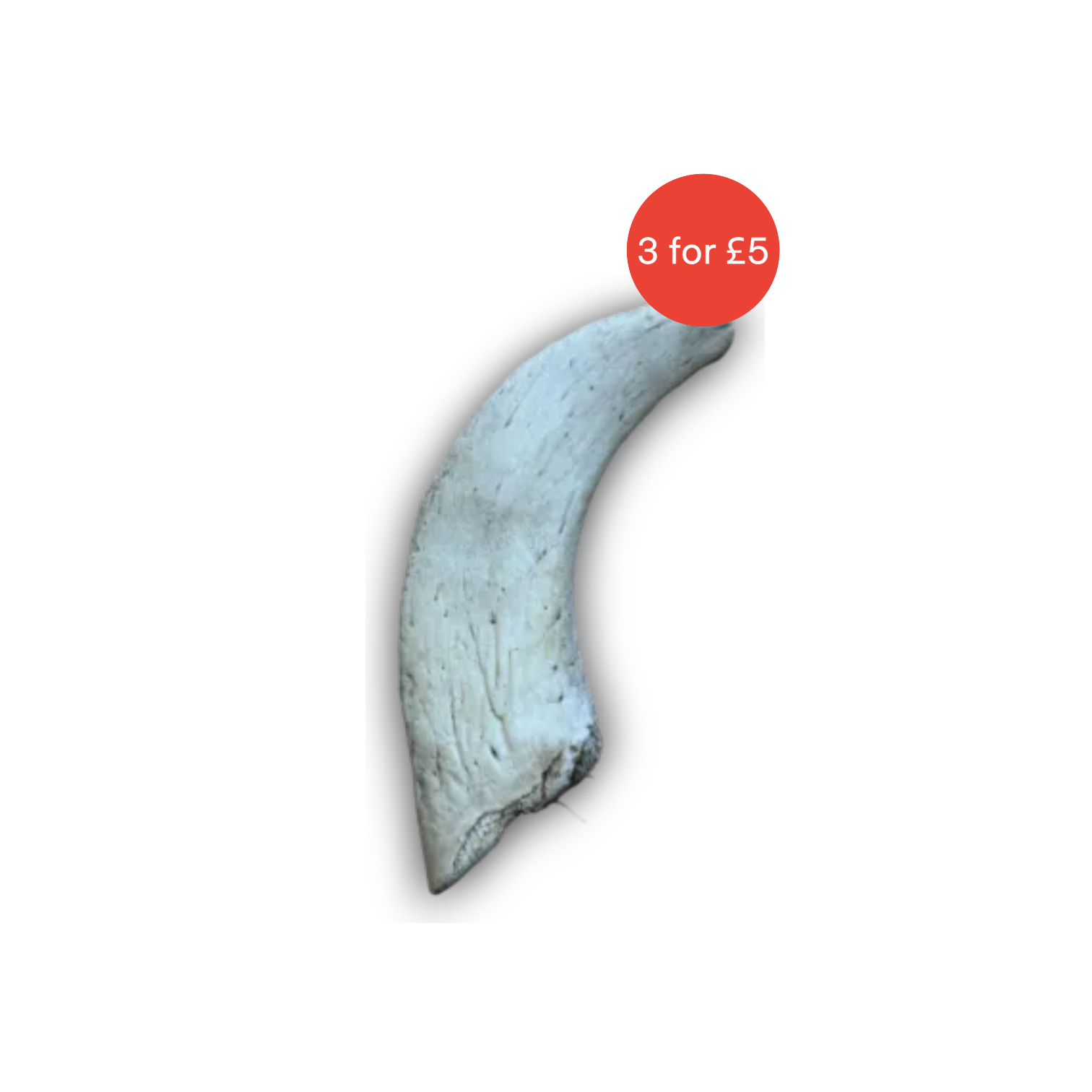 Lamb Horn Marrow