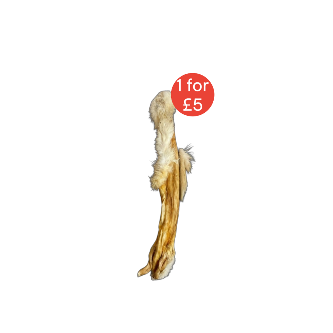 rabbitskin1for5.png