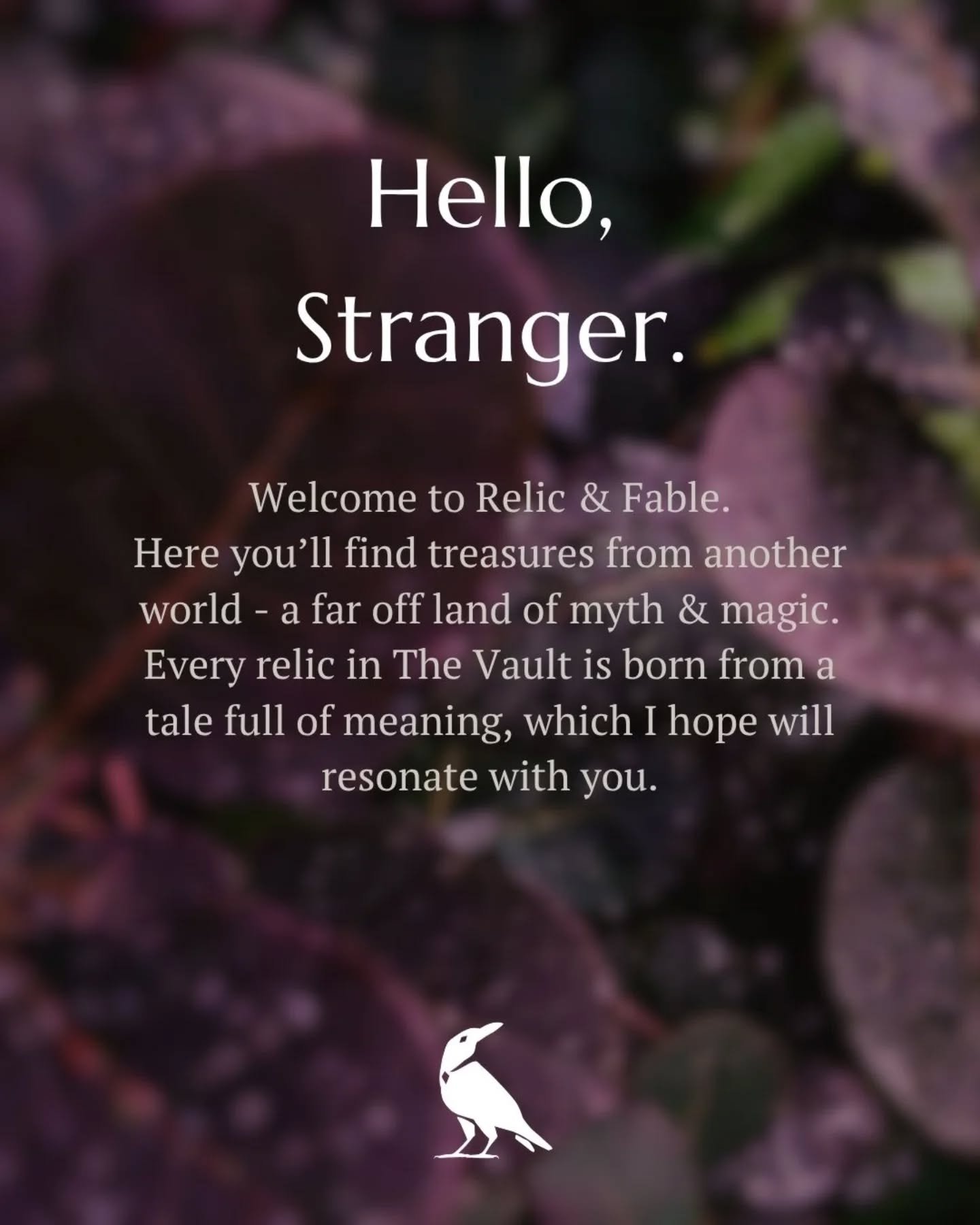 Scroll to read 📖 >
Link to the Vault is in our biography. See you there.