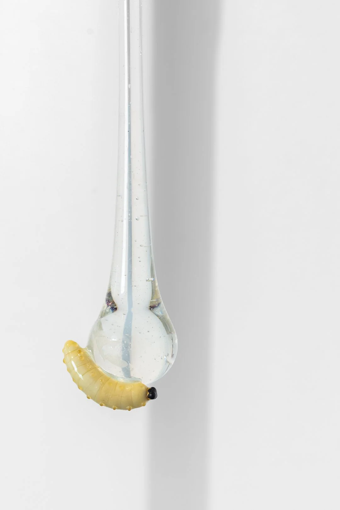 Photography by Samuel Duarte Figueiredo