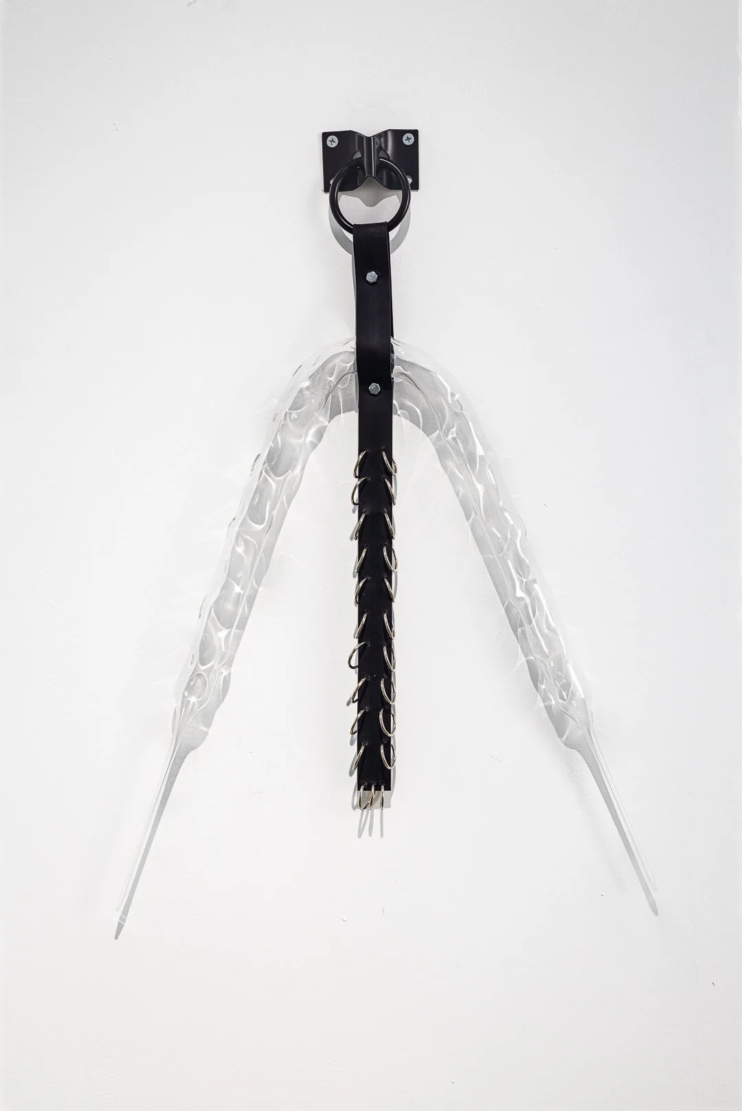 Photography by Samuel Duarte Figueiredo