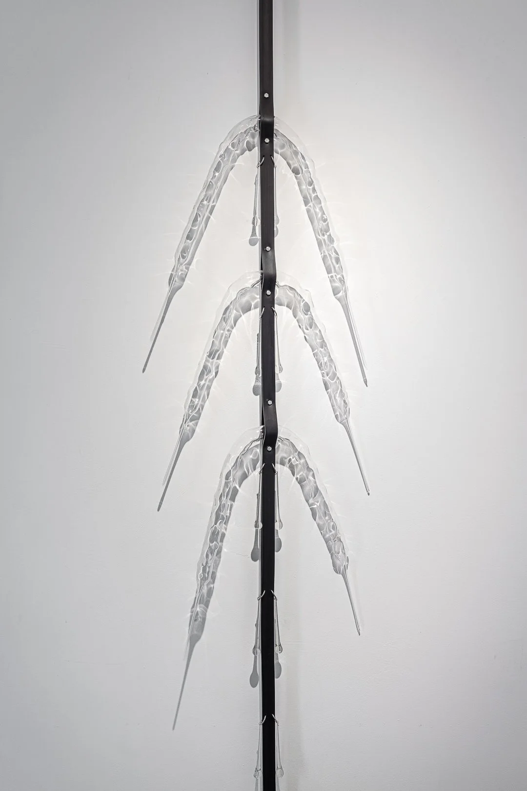 Photography by Samuel Duarte Figueiredo