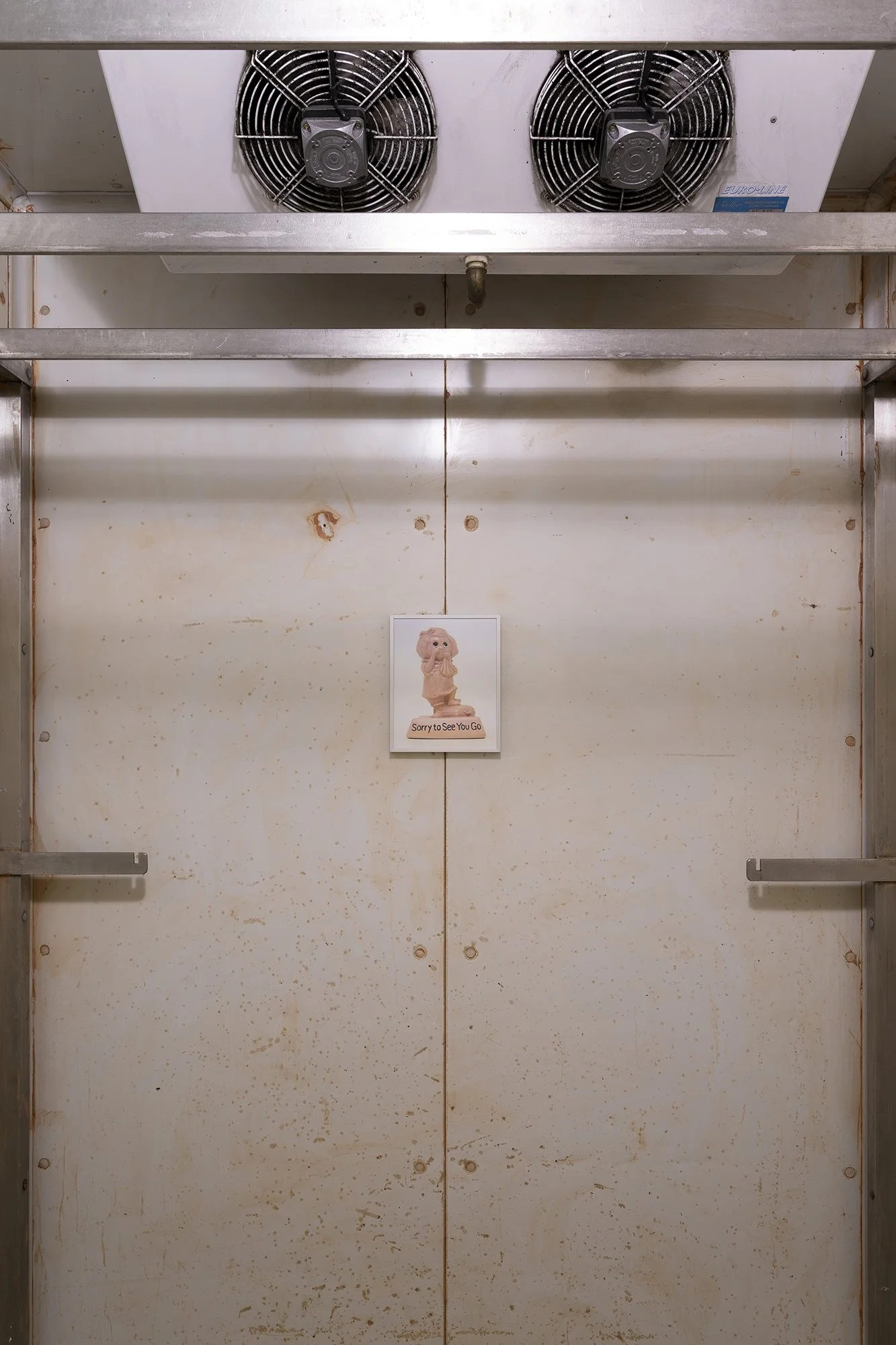 Photography by Carlos Campos