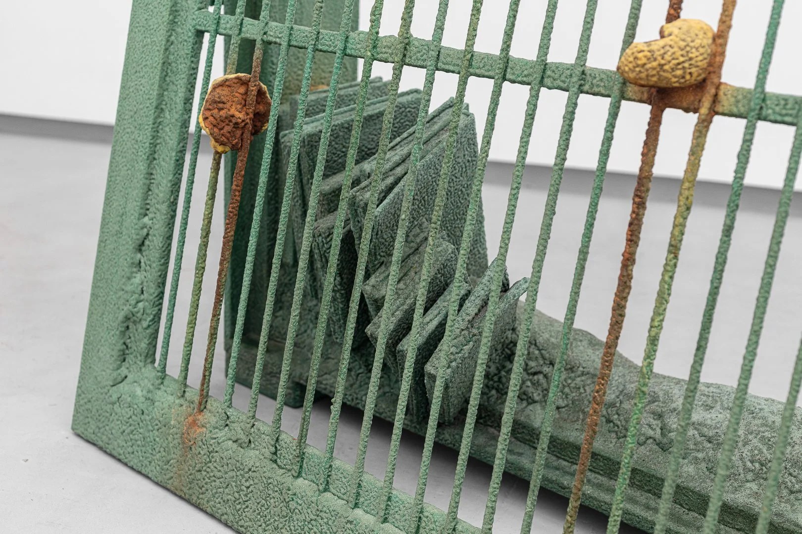 Photography by Samuel Duarte Figueiredo