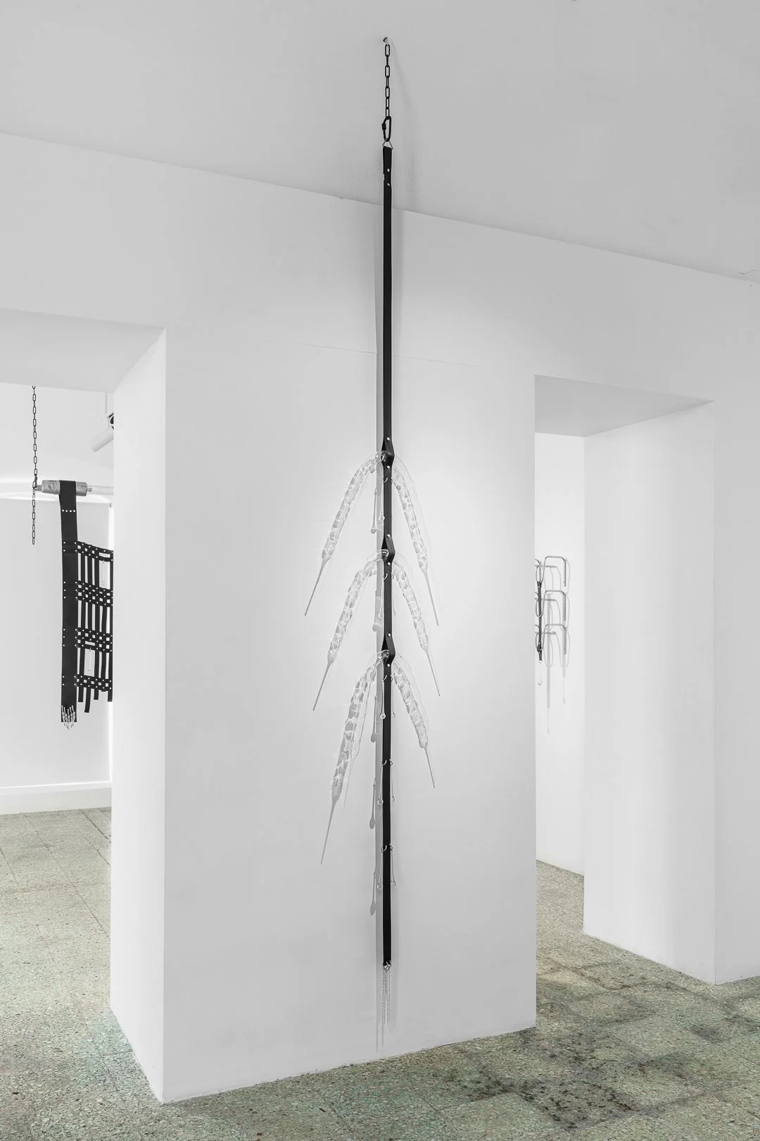 Photography by Samuel Duarte Figueiredo