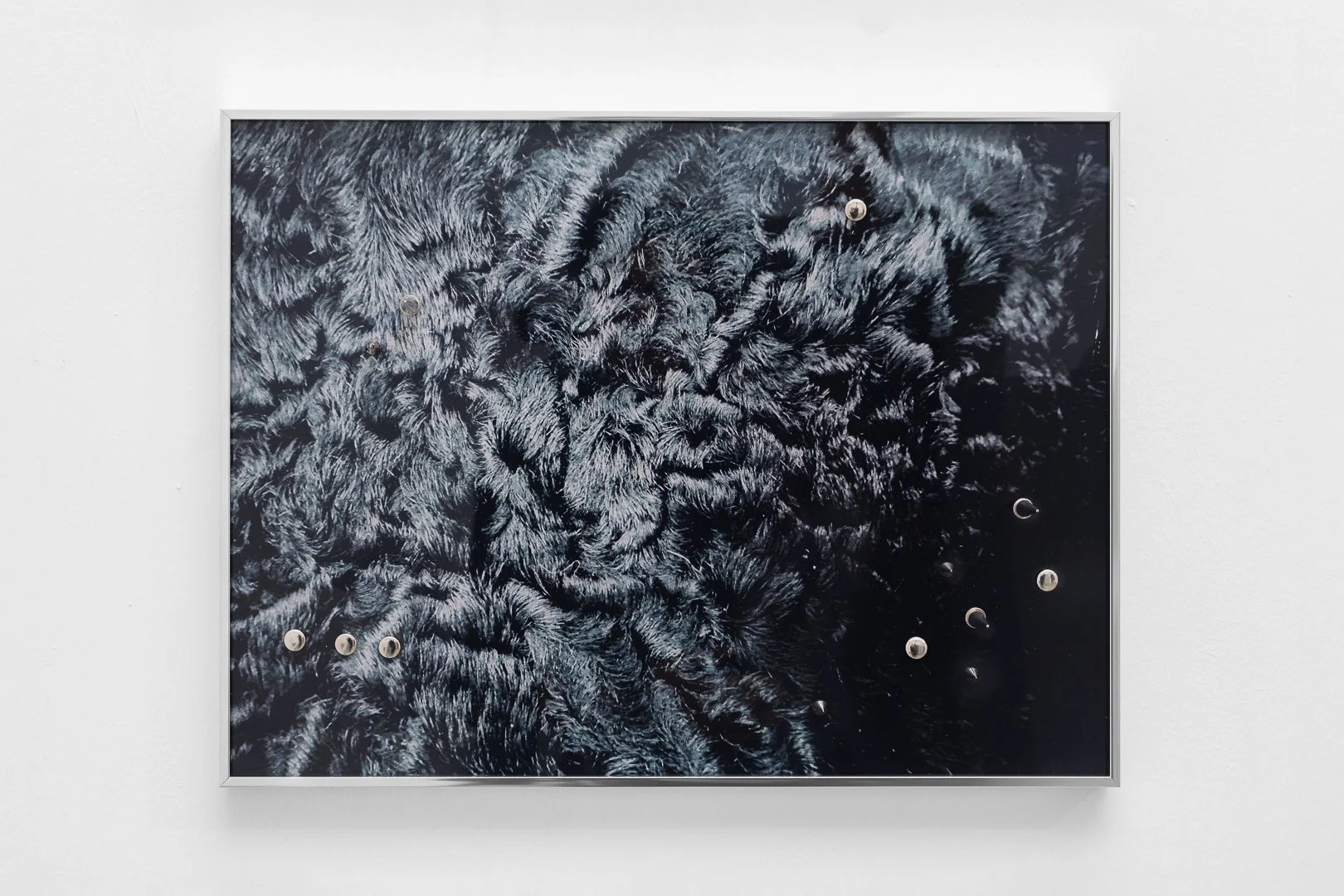 Photography by Samuel Duarte Figueiredo