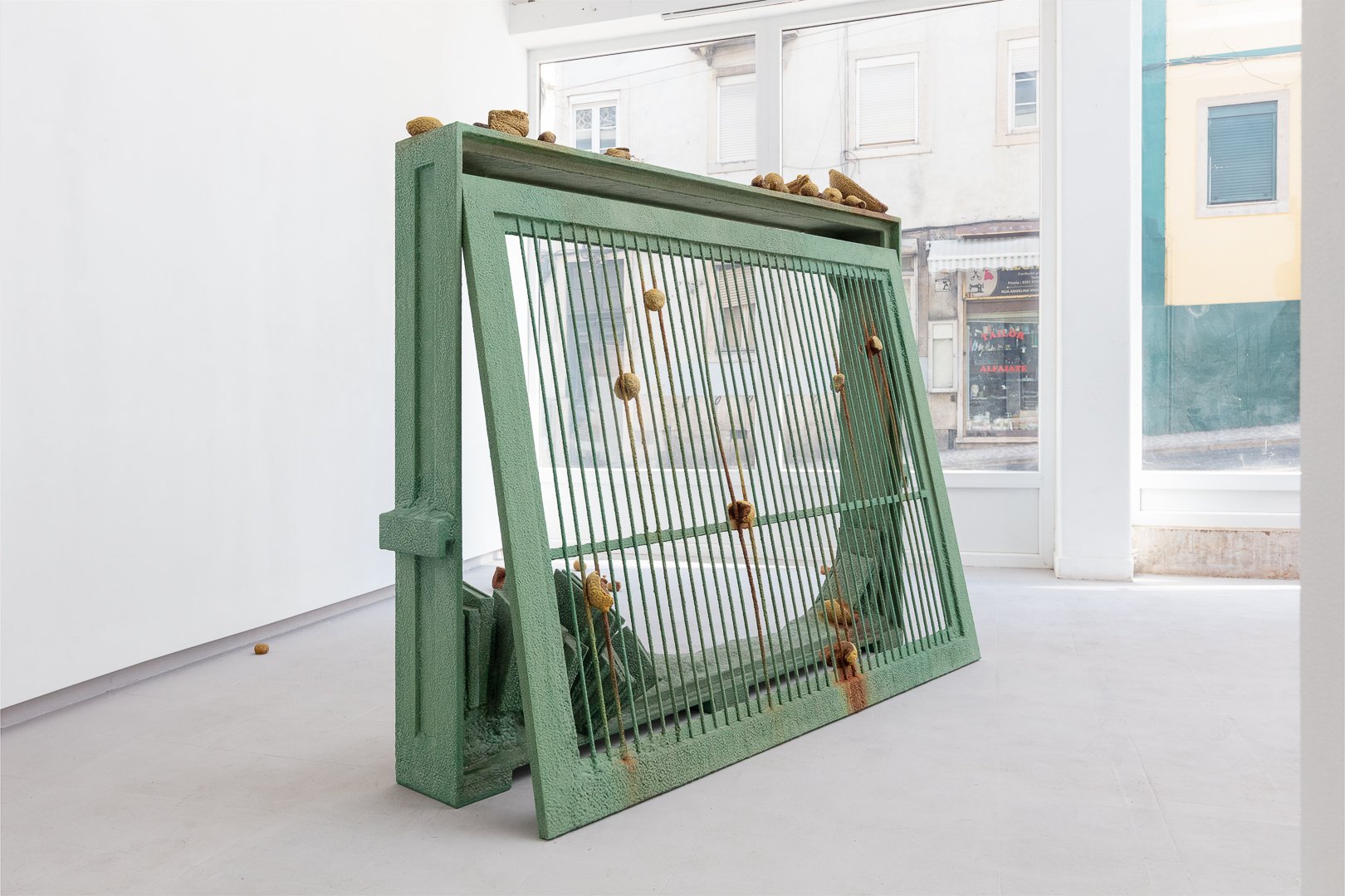 Photography by Samuel Duarte Figueiredo