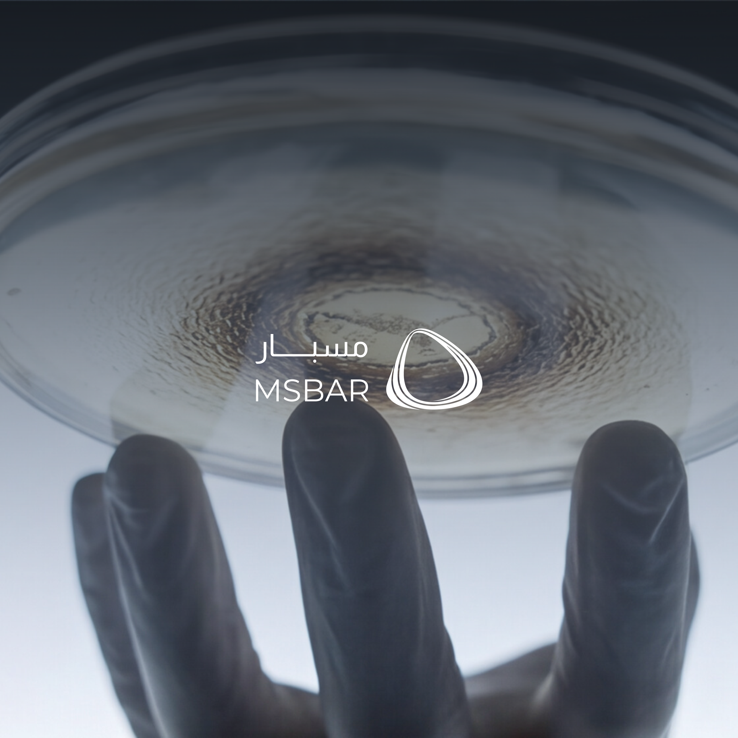 Msbar | Branding