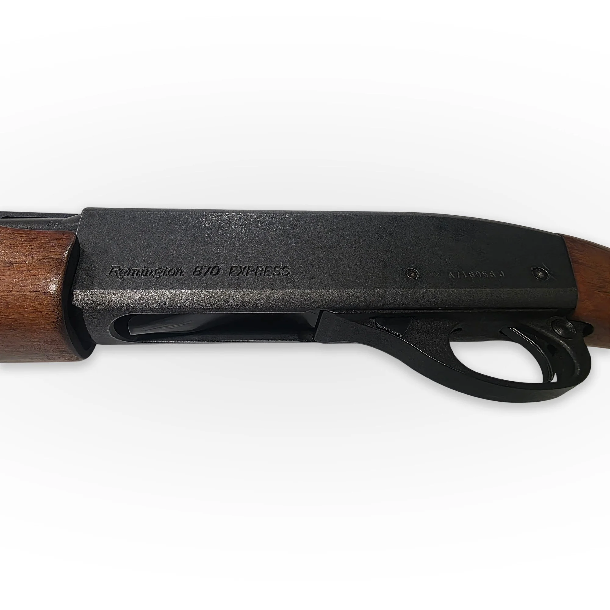 Website Photo 9.jpg