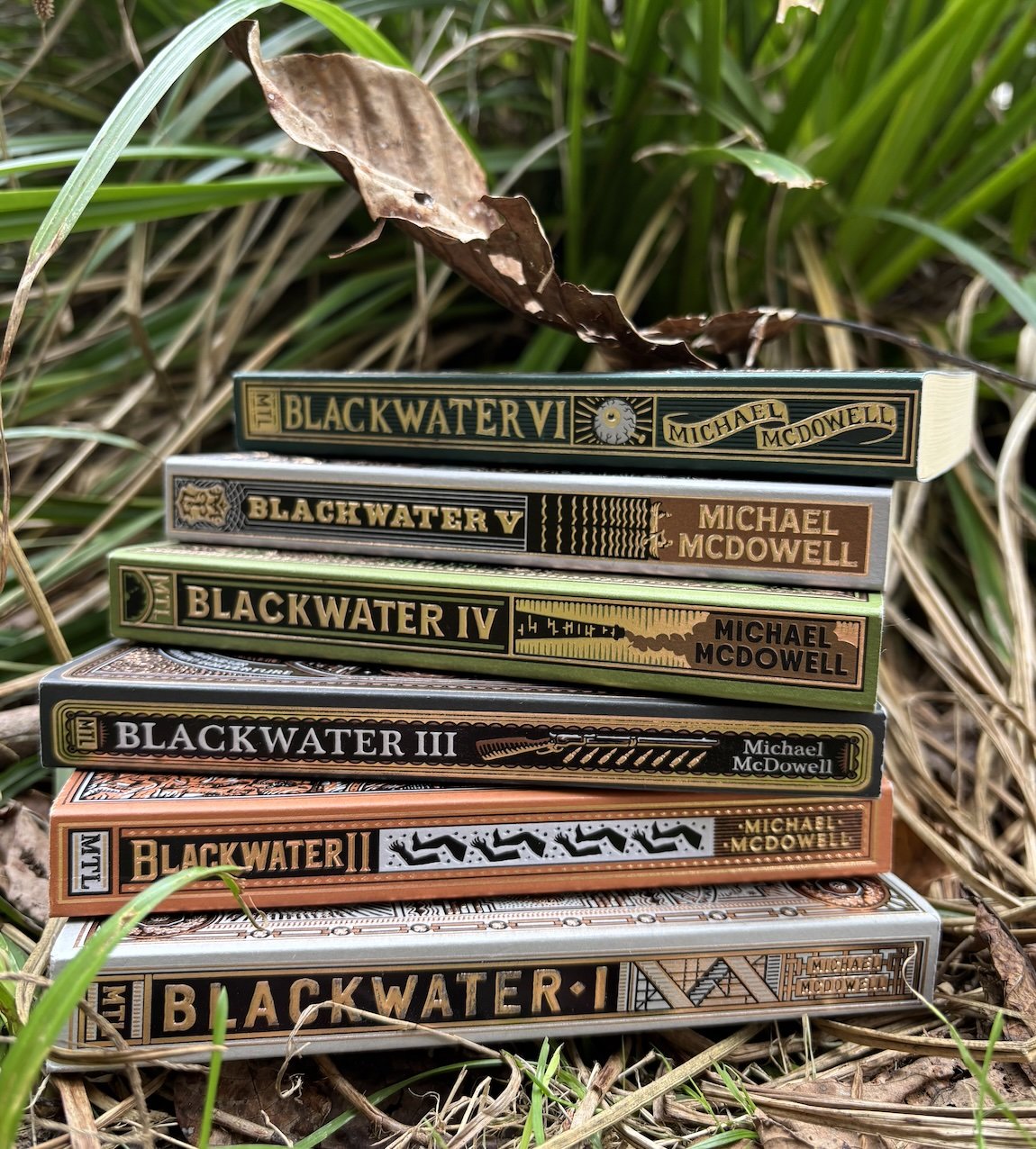Blackwater: Gator Gothic