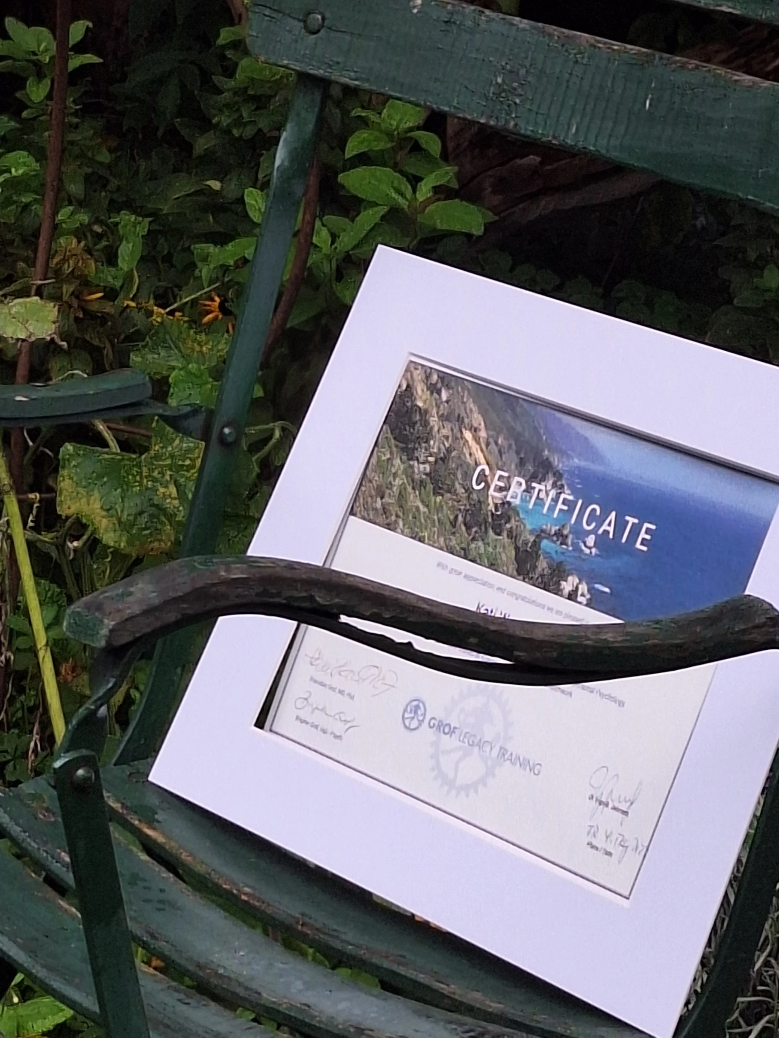Ein auf einer Bank liegendes Zertifikat. Die Bank ist grün, umgeben von Pflanzen und Blumen, im Hintergrund deutlich sichtbar.