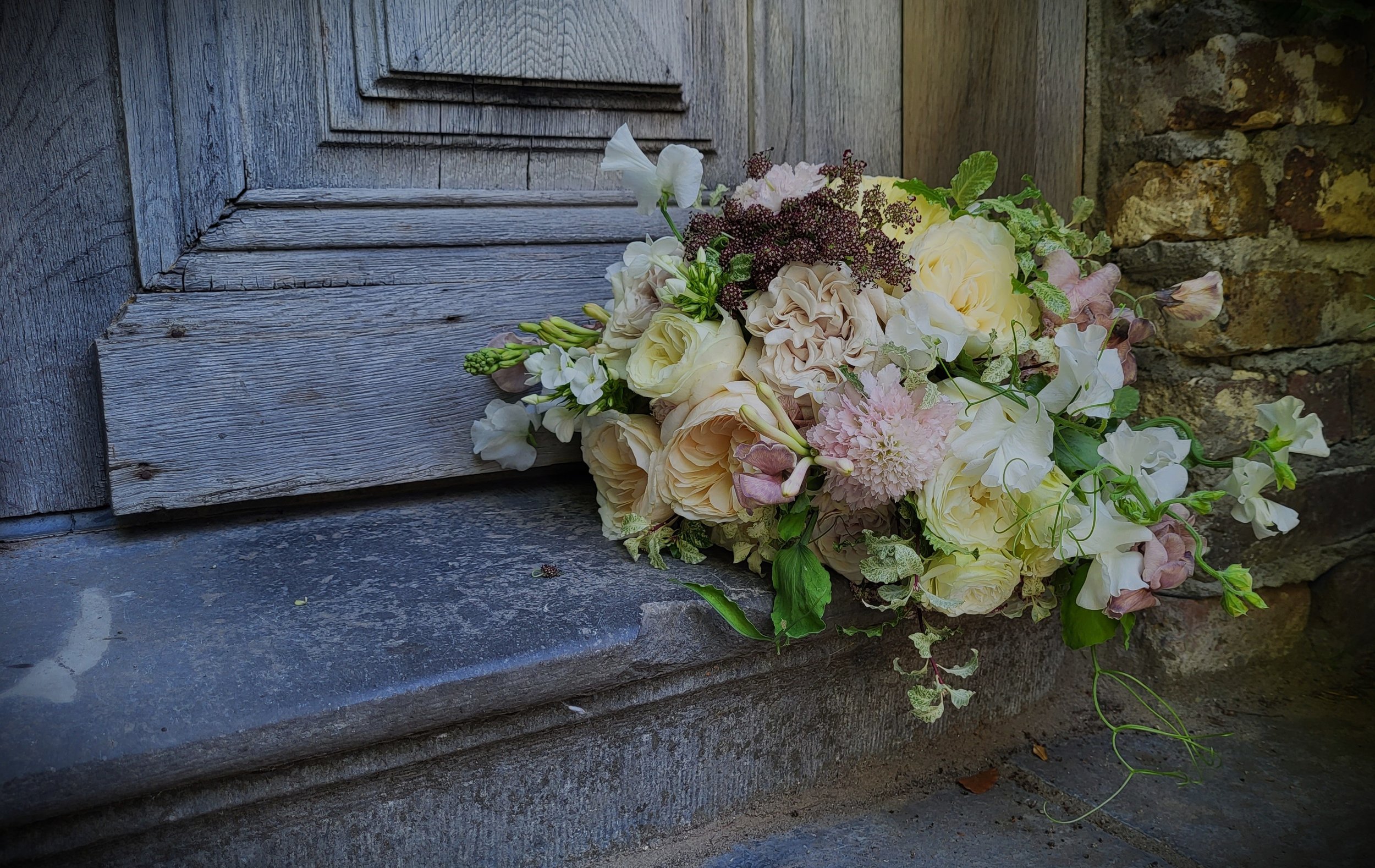 20230609_102938 b.jpg