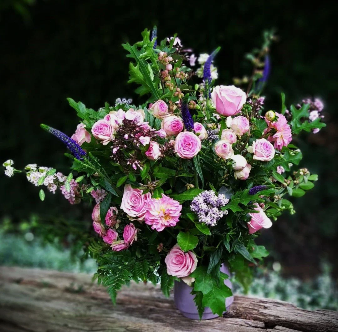 IMG-20230815-WA0031(1) cropped insta b.jpg