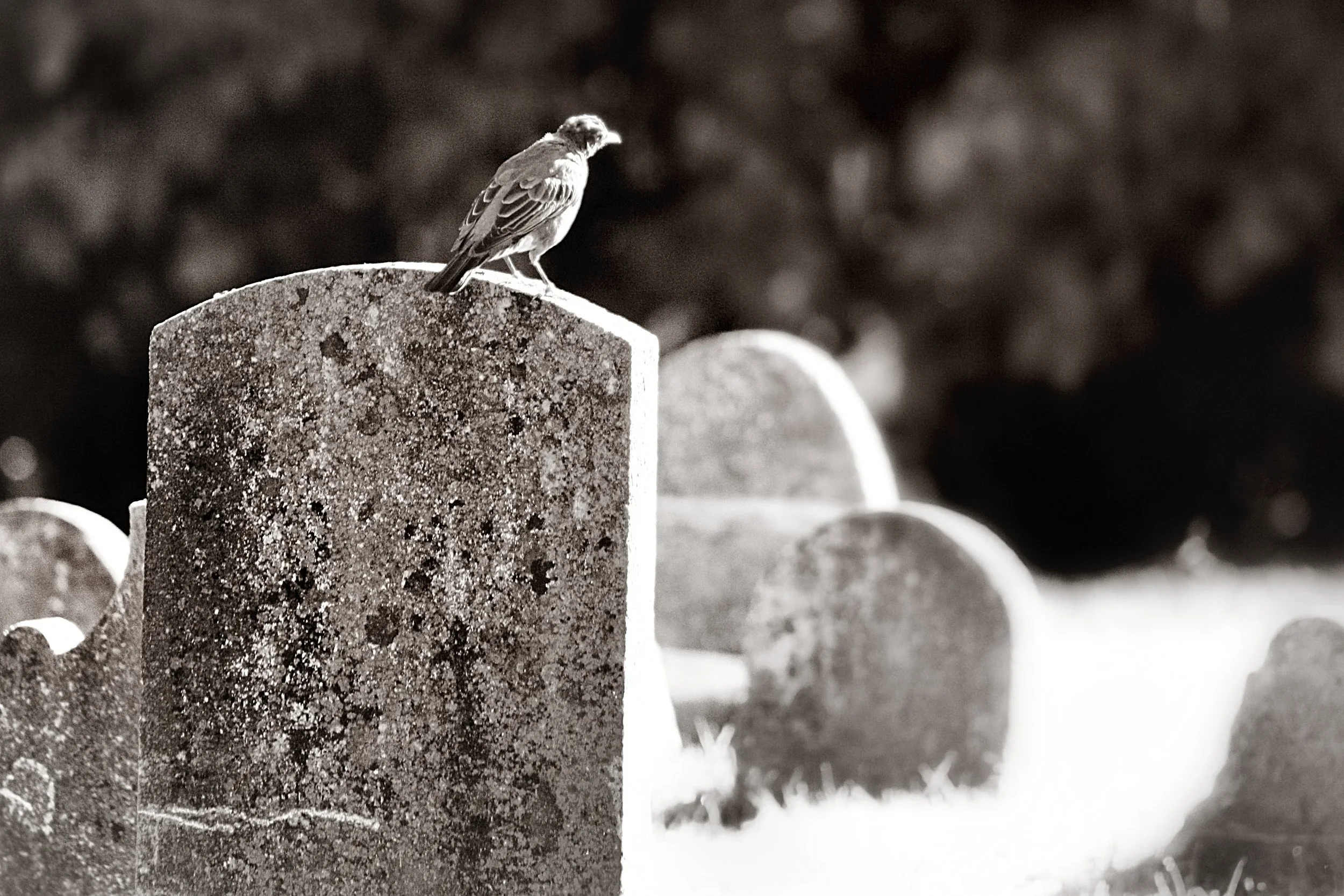 Liberal Theology &amp; the Death of Missions