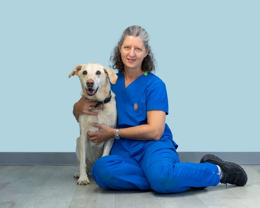 vet nurse in blue scrubs sitting on the floor and holding a happy yellow lab mix dog against her chest, both looking at the camera, with a light blue background.