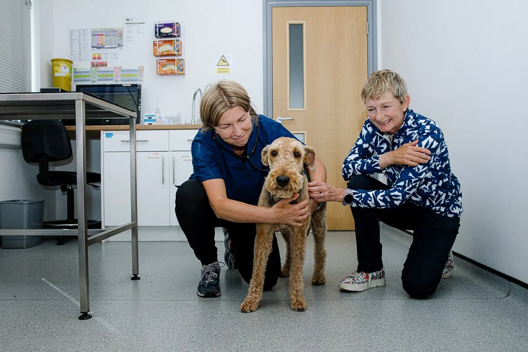 A veterinarian and a man examining a dog in a veterinary clinic, with the man smiling and the veterinarian holding the dog gently.