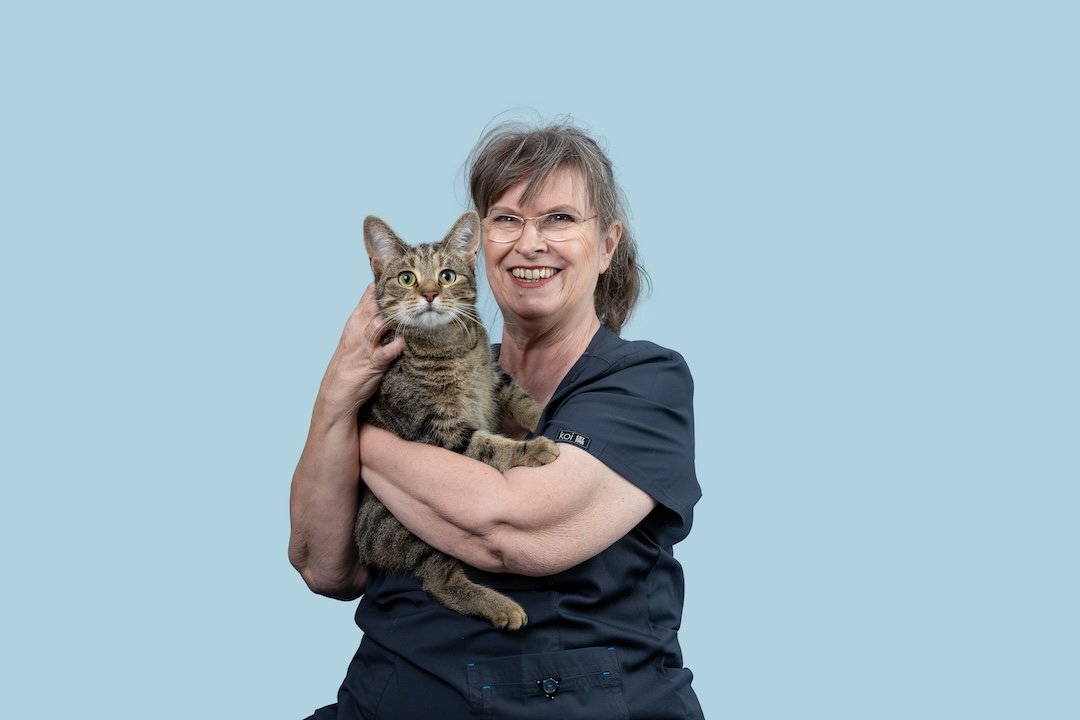 A receptionist in a navy medical scrub holding a tabby cat against a light blue background.