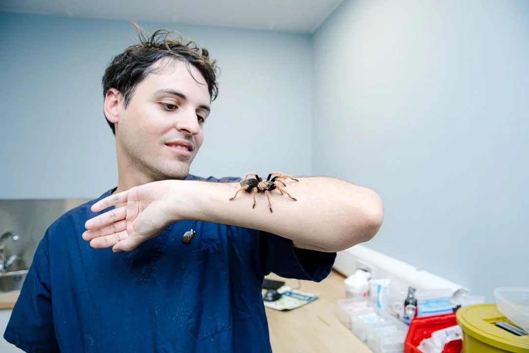 A man in blue scrubs holds his arm with a large spider on it in a clinical setting.