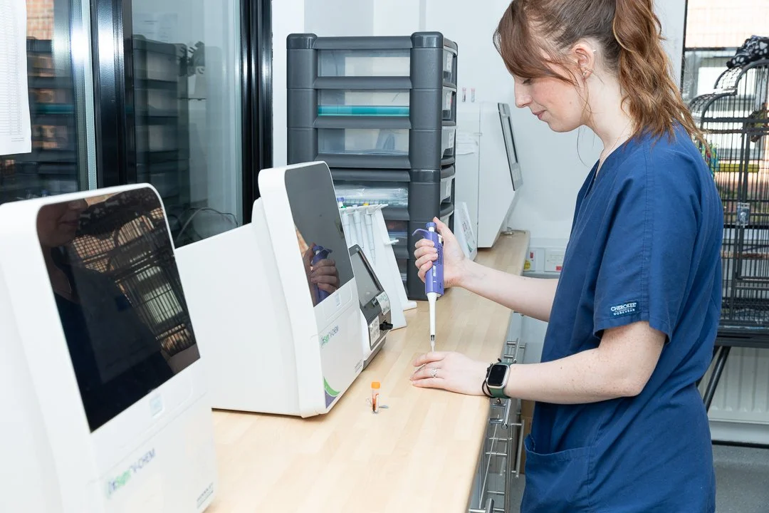 A woman in blue scrubs using a pipette to transfer liquid into a small container in a laboratory setting with scientific equipment around.