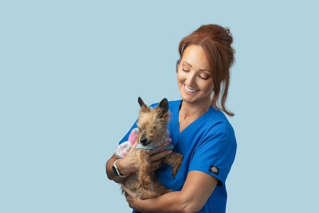 A staff member in blue scrubs holding a small, fluffy dog with a pink and gray sweater against a light blue background.
