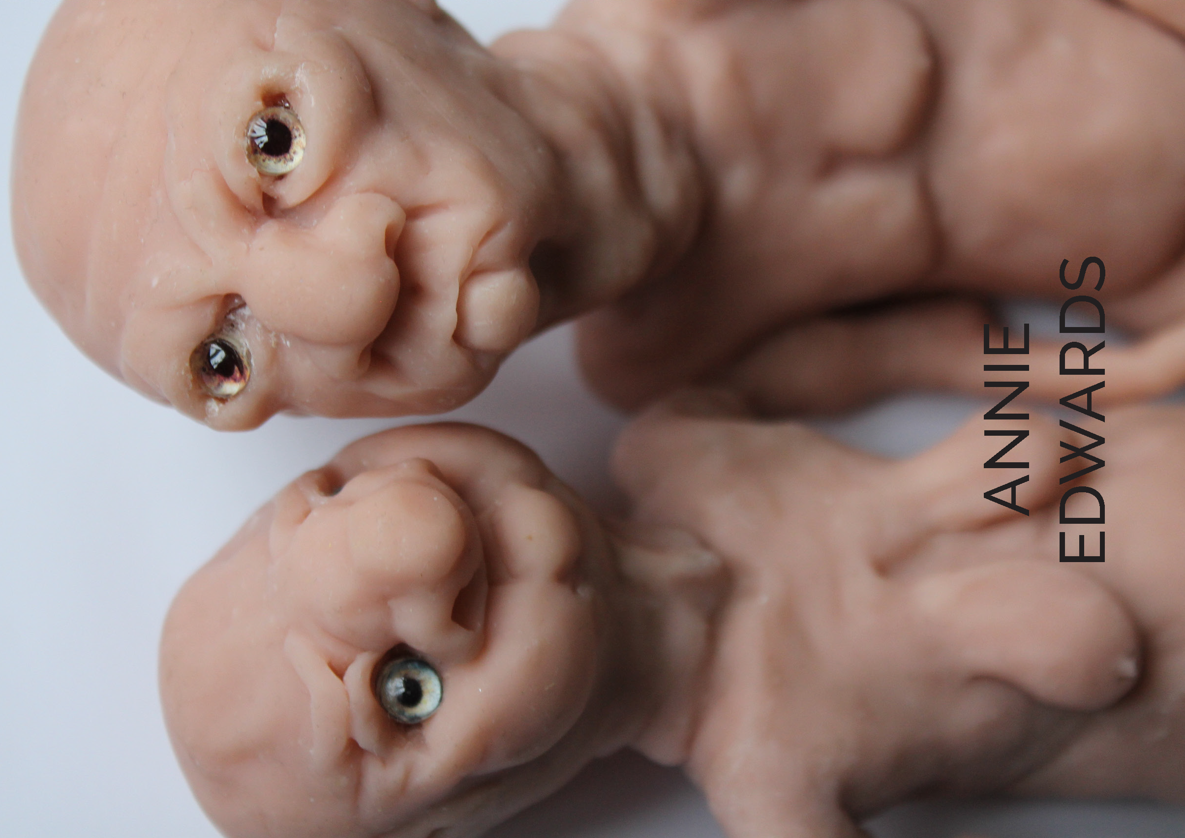 ARK Parrhesia final_Page_29.png