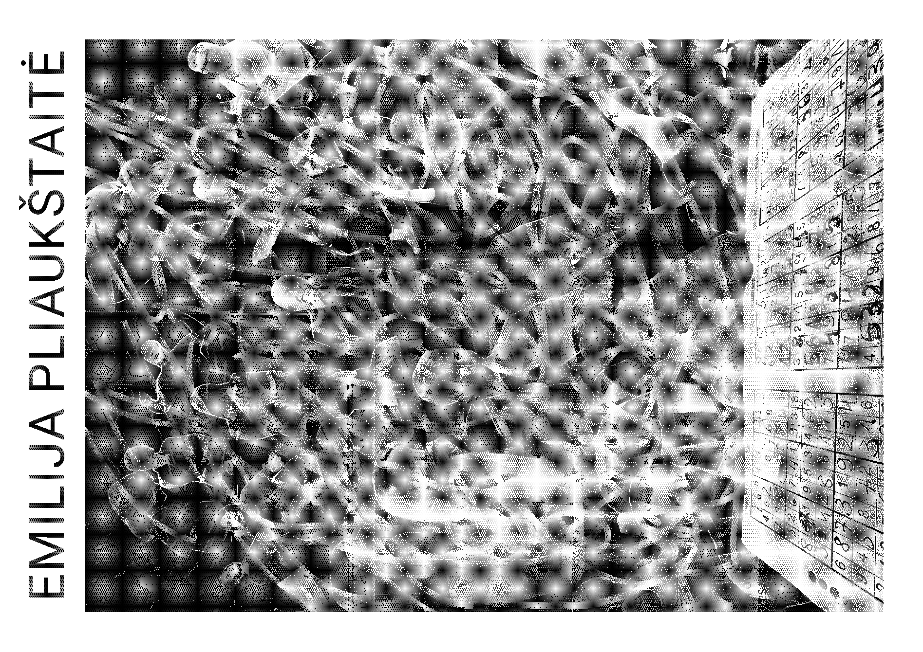 ARK Parrhesia final_Page_14.png