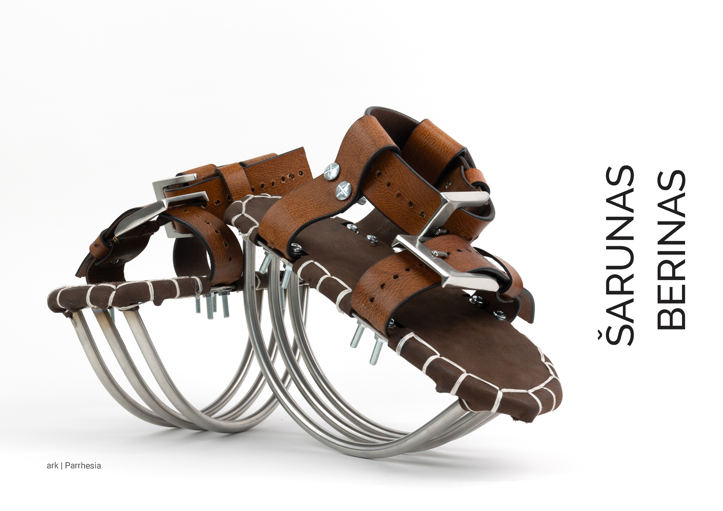 ARK Parrhesia final_Page_17.png