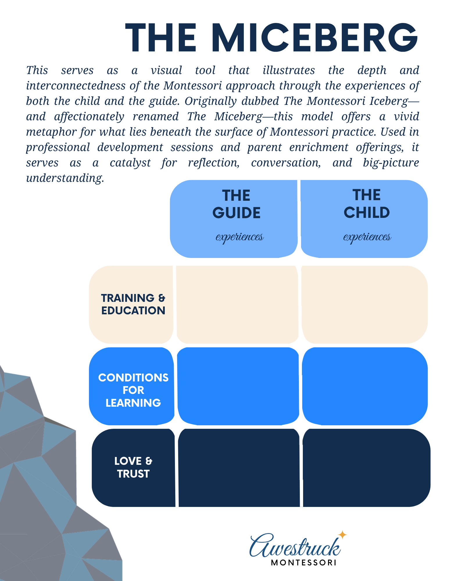 MICEBERG EXPERIENCE.png