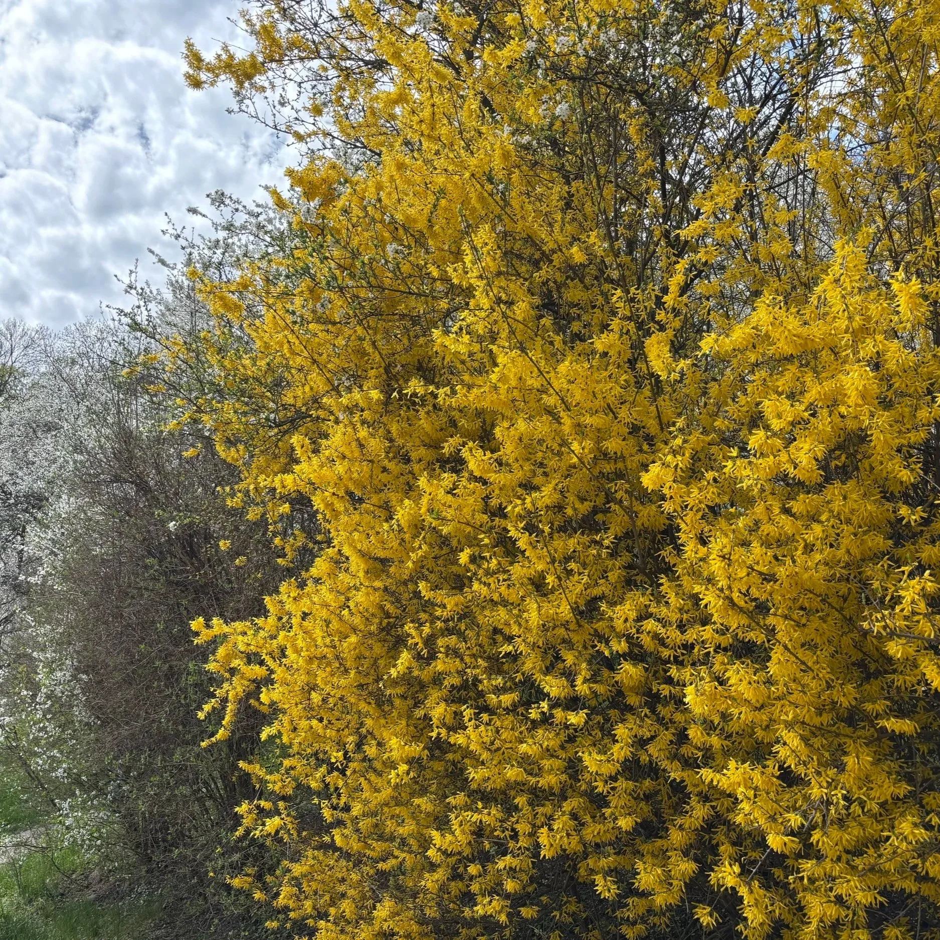 How to get help for perimenopause and menopause symptoms