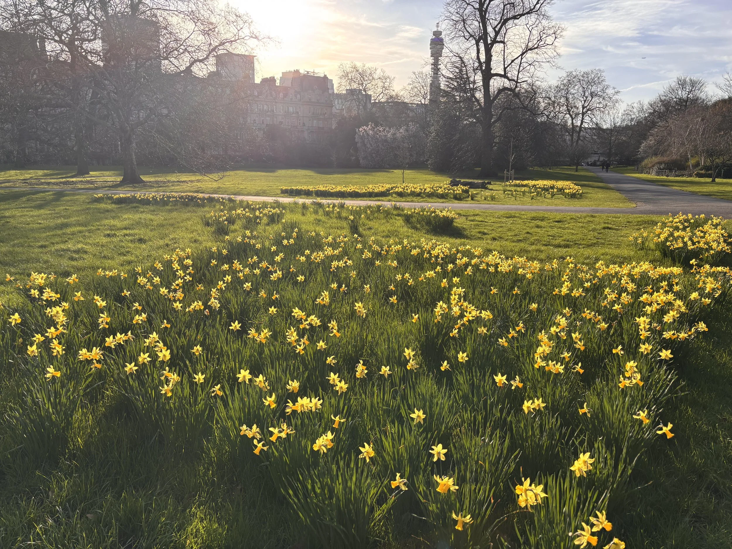 Contraception and the menopause, what you need to know 