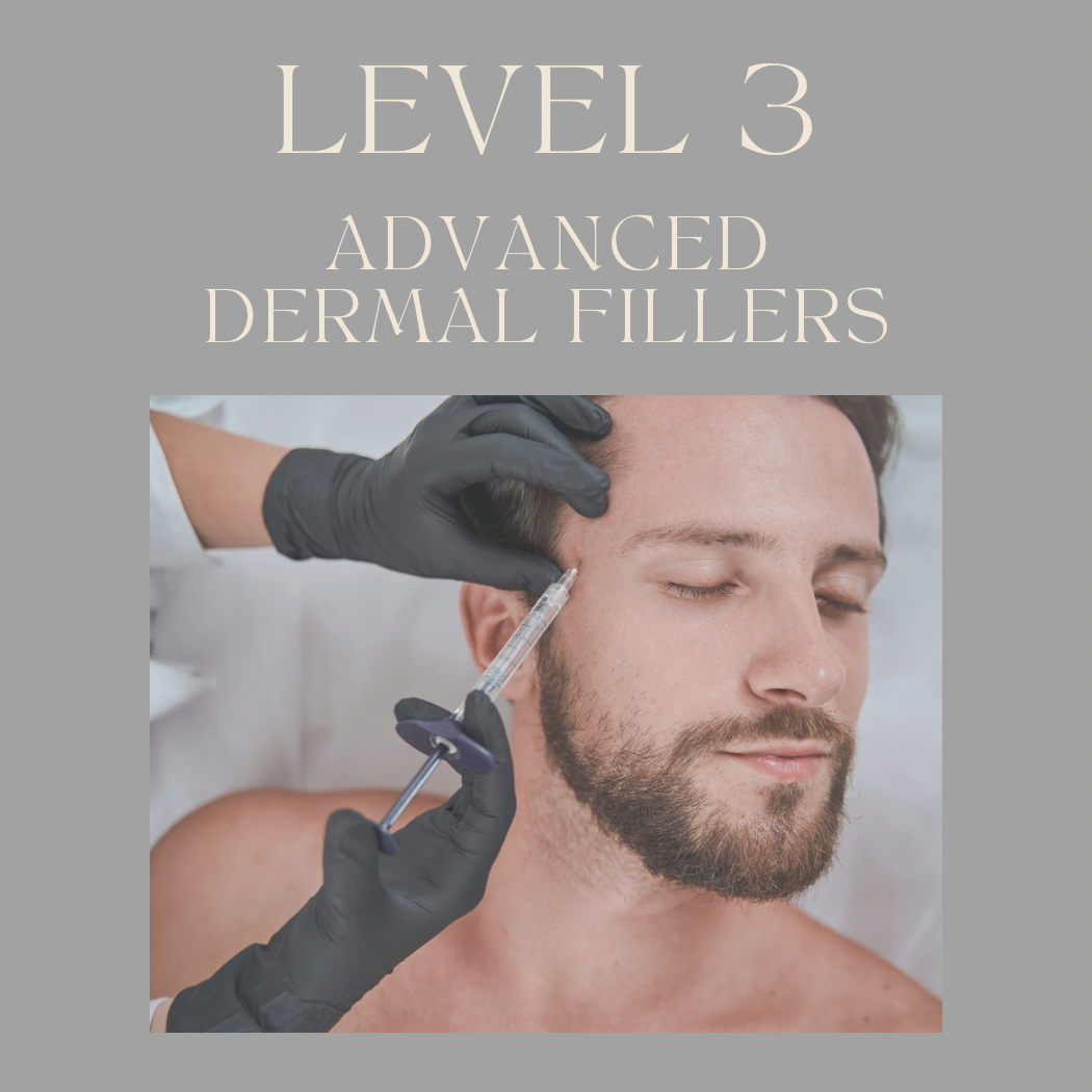 Level 3 Advanced Dermal Fillers: Mastering Full Facial Balancing & Advanced Techniques (Experience Required)