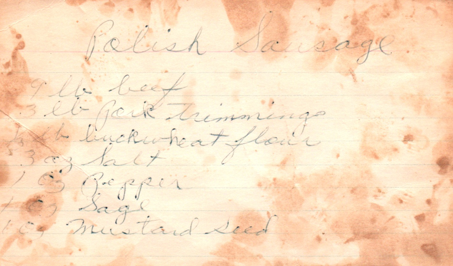 Polish sausage front