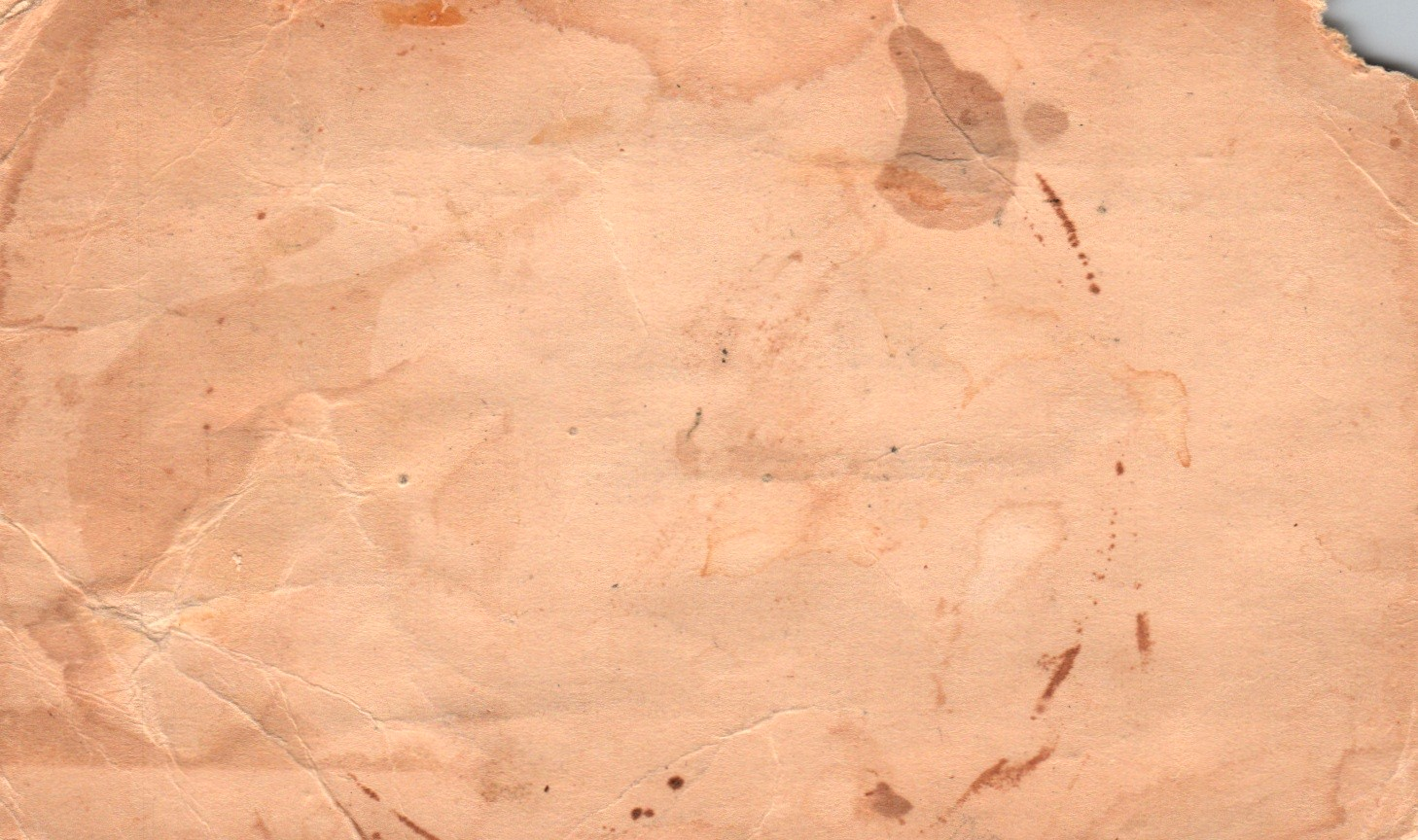 chicken dumplings back (for preservation)