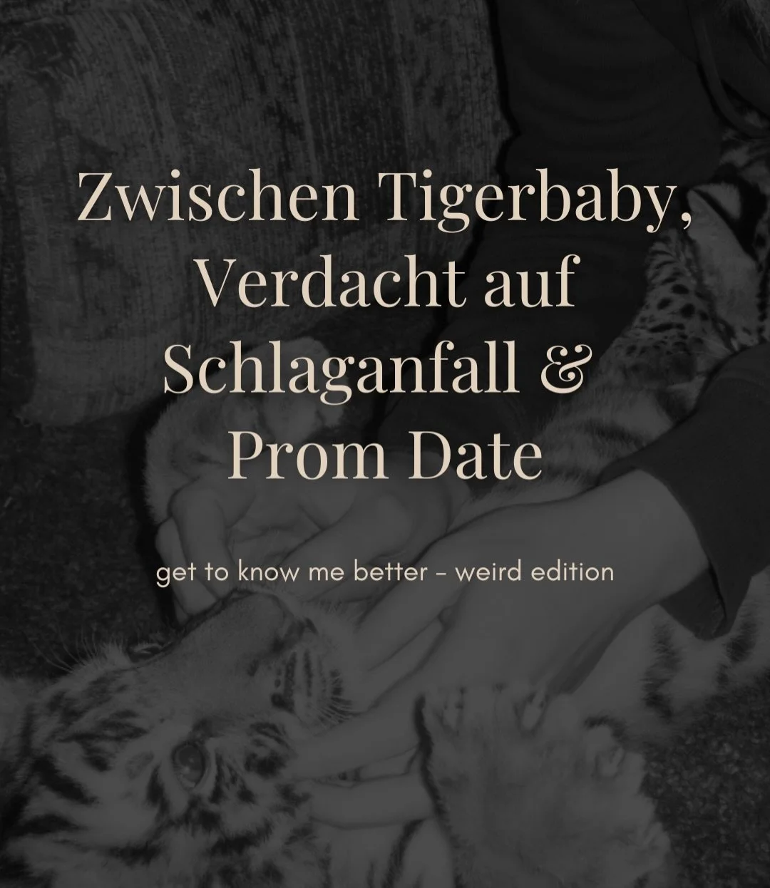 🫣 Die Omi mein pers&ouml;nlicher Schock Moment des Lebens😂

Schreib mir doch gerne mal einen weird fact &uuml;ber dich in die Kommentare&hearts;️ Love to get to know you &hearts;️

#hallo #femalebusiness #weiblichekraft #weiblichesbusiness