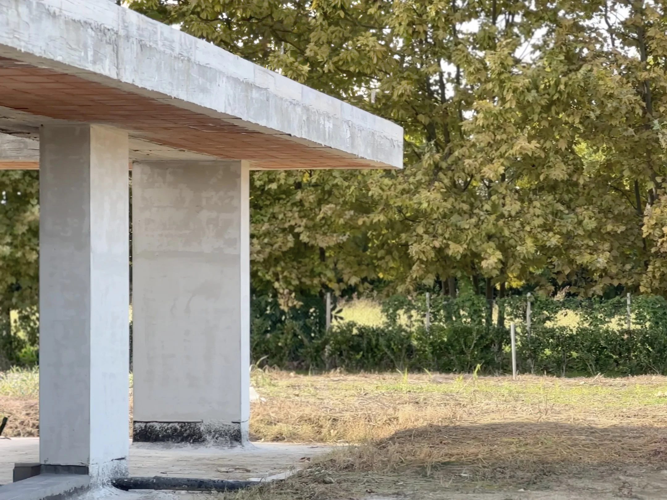 struttura di cemento con pilastri e soffitto in cemento in un'area aperta con alberi in background.