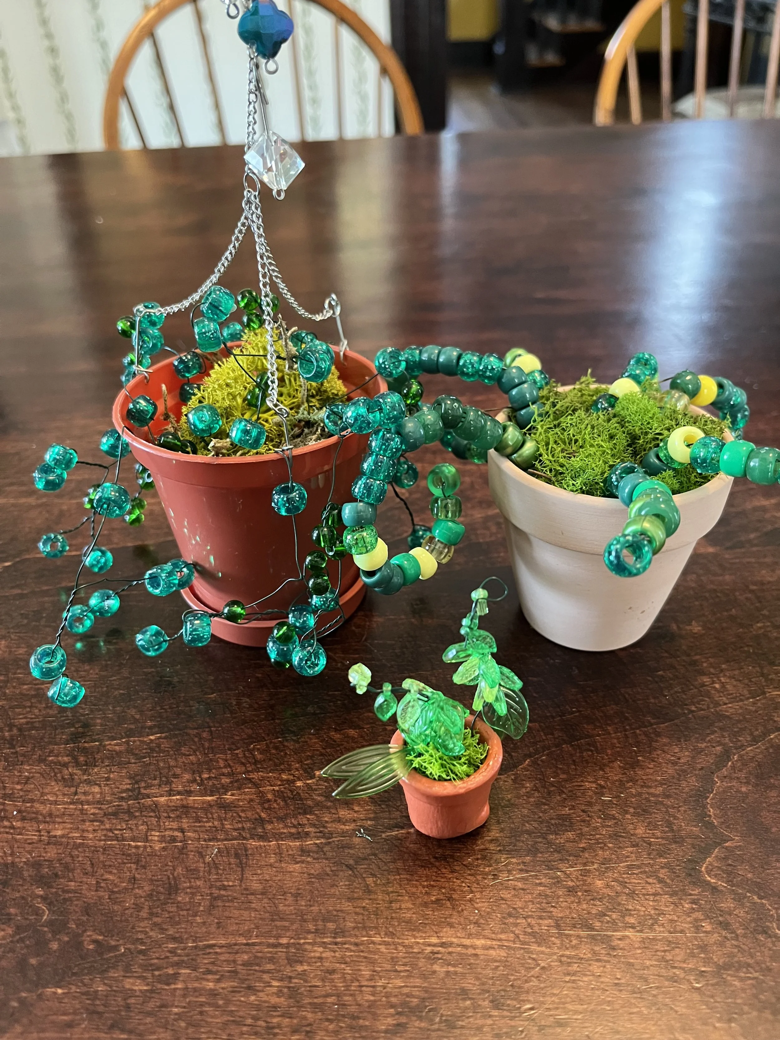 Beaded Plant Kit and Virtual Workshop Recording