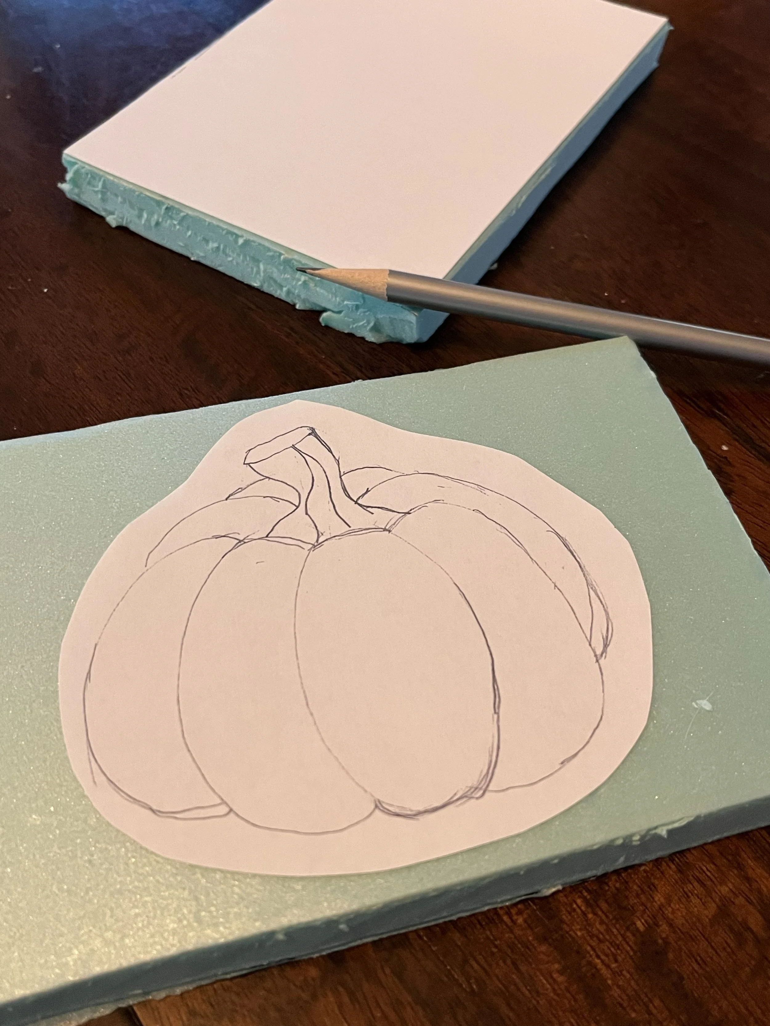 kinusaiga laid out.jpg