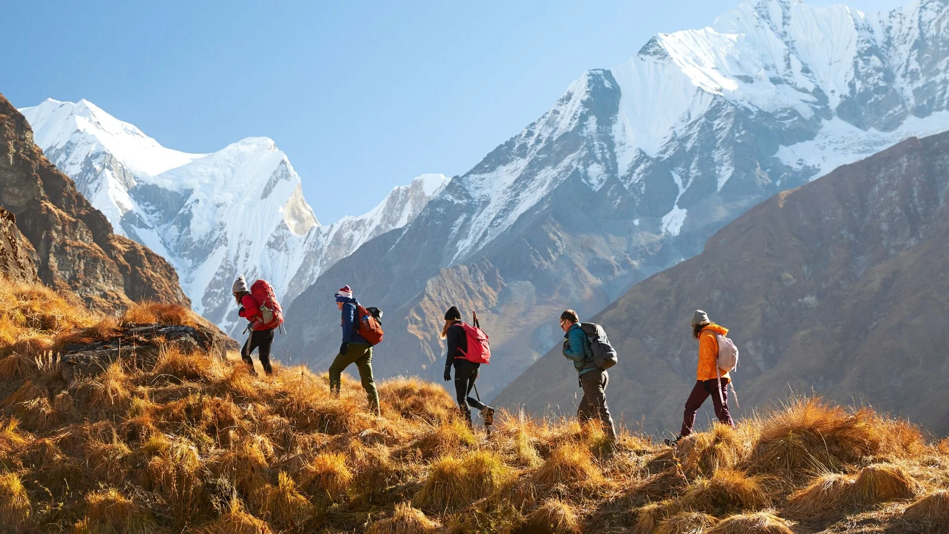 Six hikers walking in a mountainous landscape with snow-capped peaks in the background, and golden grass on the ground.