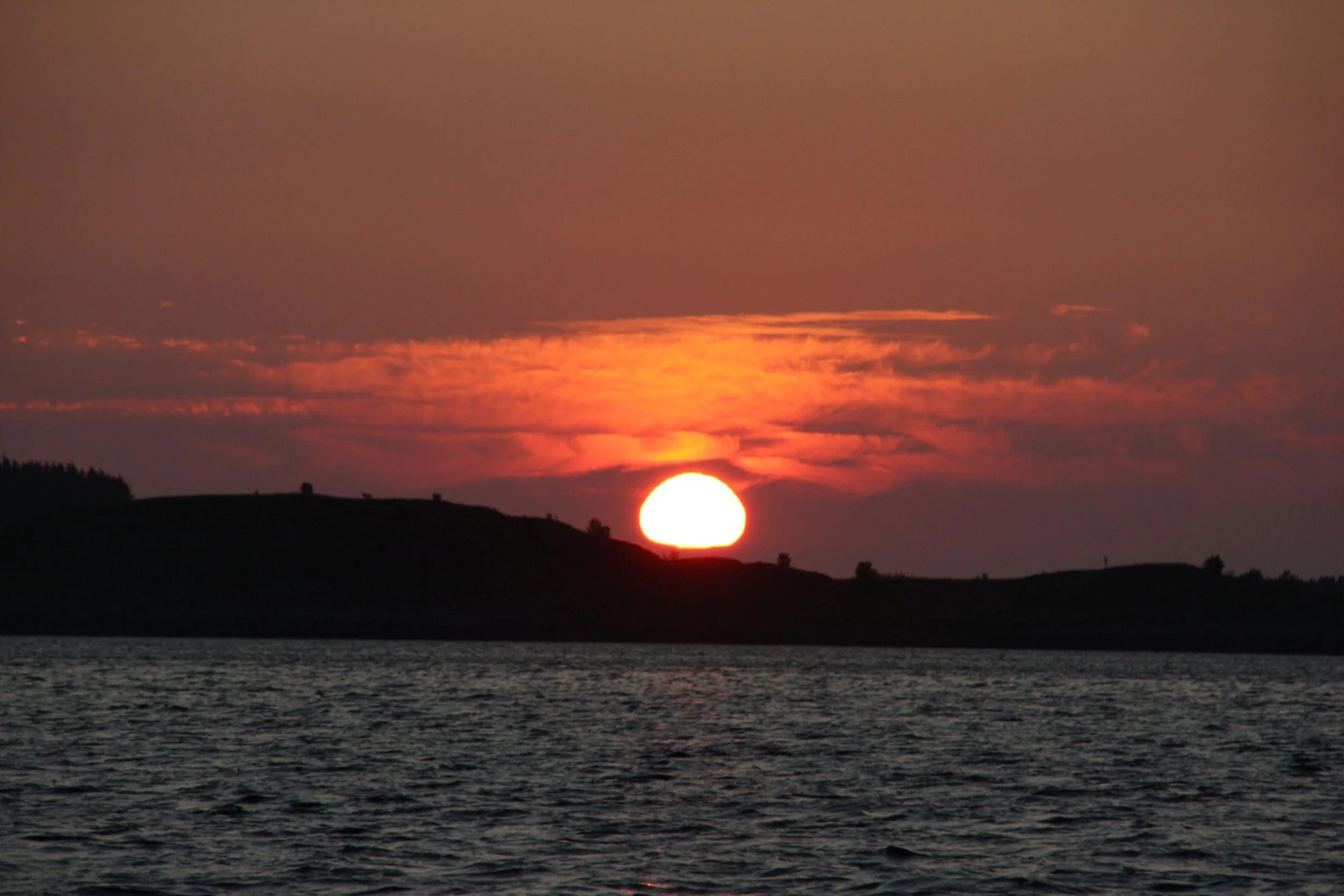 IMG_8909.JPG