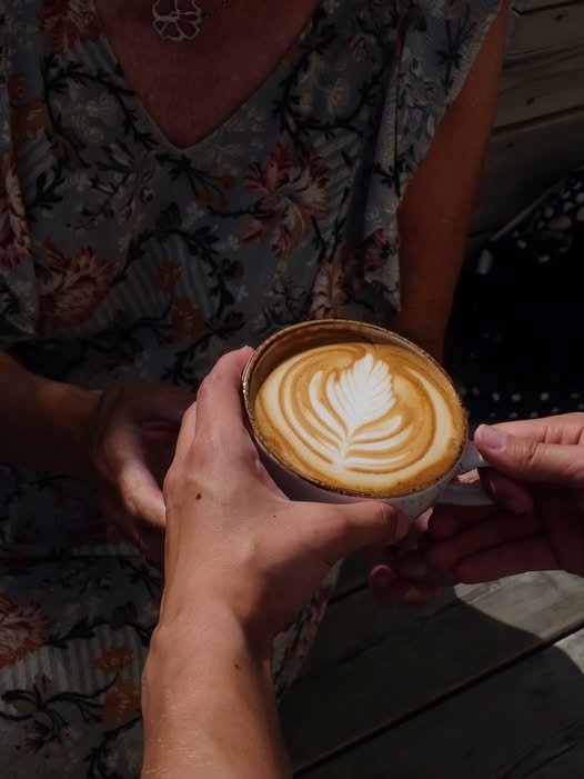 skolo2.jpg