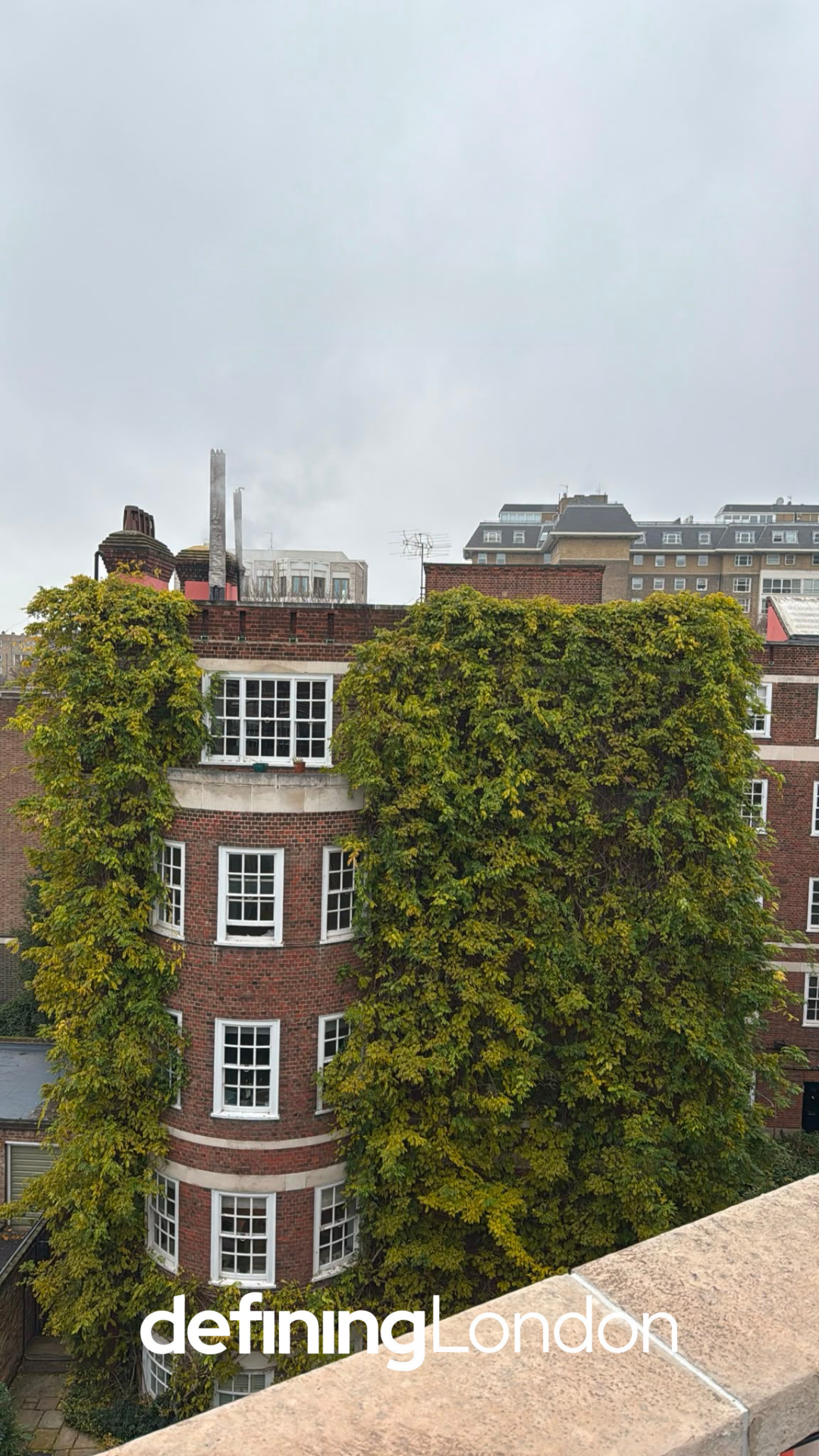 Swiss cottage windows