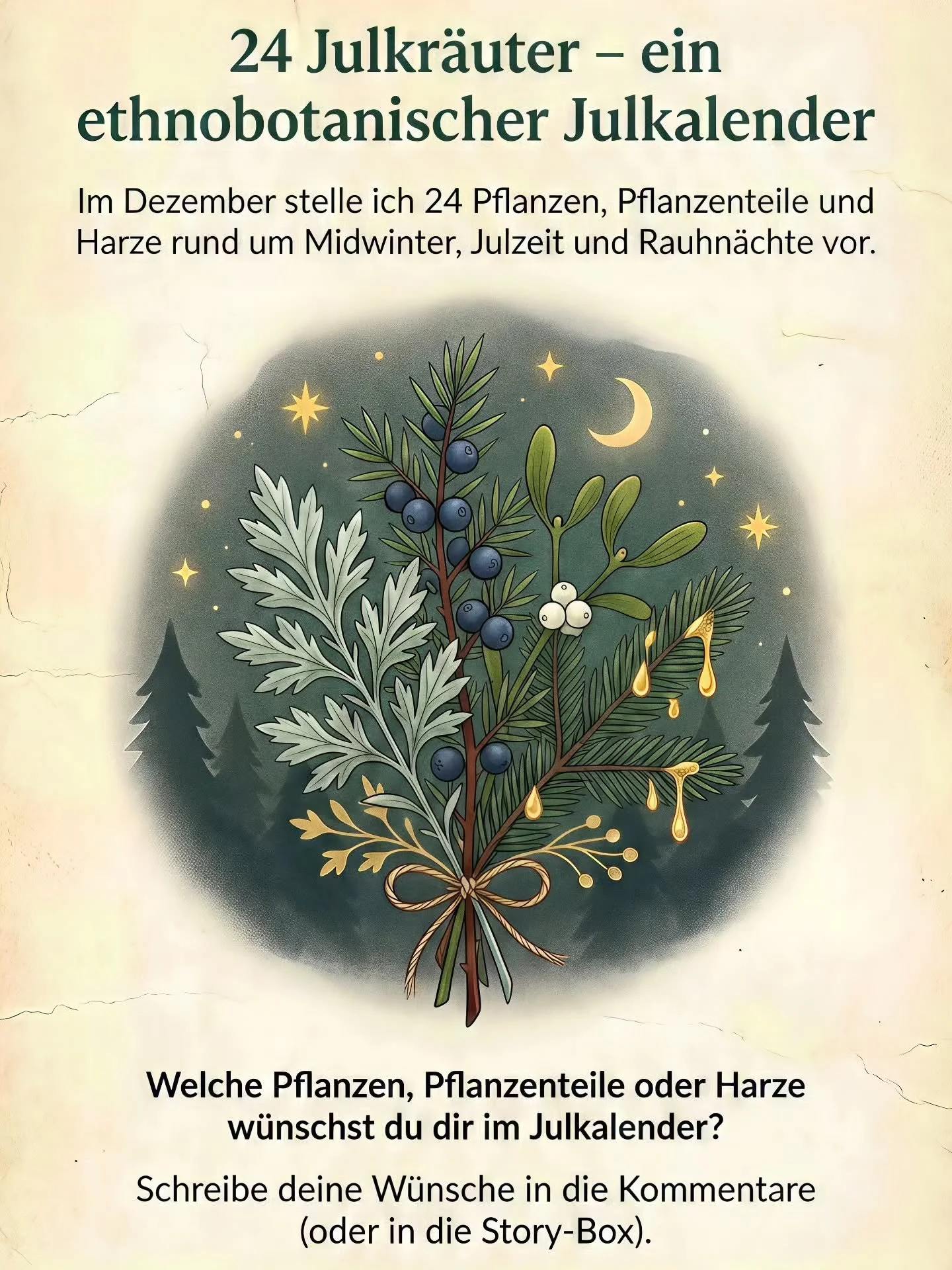 ...Wie angek&uuml;ndigt gibt es im Dezember mein &bdquo;ethnobotanischer Julkalender&ldquo;: 24 Julkr&auml;uter, Pflanzenteile und Harze, die rund um Midwinter, Julzeit und die Rauhn&auml;chte in Brauchtum, Heilkunde und R&auml;uchertradition eine be