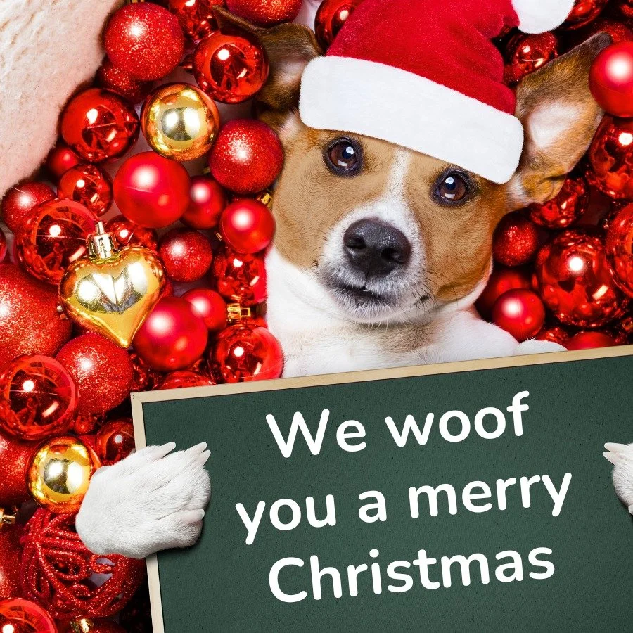 We&rsquo;re taking some "paws" to celebrate with our families. Please note that we are closed today and tomorrow.

We hope your holiday is fur-tastic and filled with treats! We'll be back and ready to fetch your requests soon. 🦴🎄

#happyh